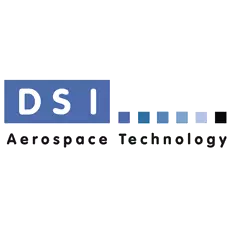 Logo DSI