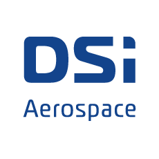 Logo DSI